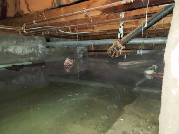 Best Sewage cleanup and water damage restoration  in Baldwin, FL