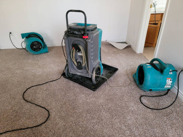 Best Residential water damage restoration  in Baldwin, FL