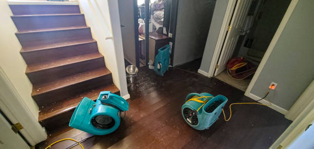 Best Local water damage restoration  in Baldwin, FL