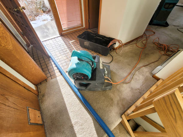 Best Mold removal after water damage  in Baldwin, FL