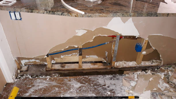 Best Flooded house restoration  in Baldwin, FL