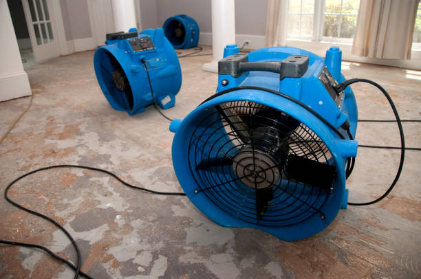 Best Water damage cleanup near me  in Baldwin, FL