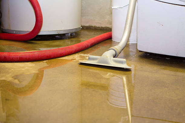 Best Commercial water damage restoration  in Baldwin, FL