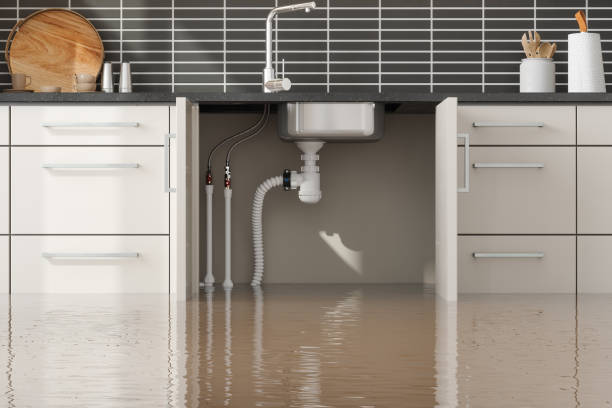 Best Basement water damage restoration  in Baldwin, FL