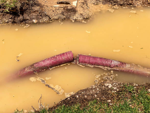Reliable Baldwin, FL Water damage restoration Solutions