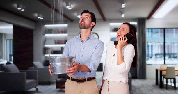 Best Water damage contractors near me  in Baldwin, FL
